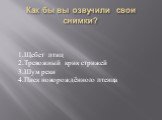 Как бы вы озвучили свои снимки? 1.Щебет птиц 2.Тревожный крик стрижей 3.Шум реки 4.Писк новорождённого птенца