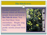 The birch tree. Another symbol of Russia which all Russian people know and love is the birch tree. You can find these trees everywhere. People sing beautiful songs with poetic words about birch trees.