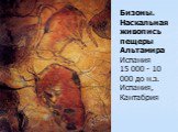 Бизоны. Наскальная живопись пещеры Альтамира Испания 15 000 - 10 000 до н.э. Испания, Кантабрия