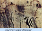 Коза. Наскальная живопись пещеры Альтамира Испания 15 000 - 10 000 до н.э. Испания, Кантабрия