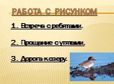 1. Встреча с ребятами. 2. Прощание с утятами. 3. Дорога к озеру. Работа с рисунком