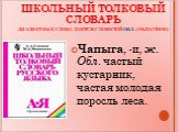 ШКОЛЬНЫЙ ТОЛКОВЫЙ СЛОВАРЬ диалектные слова даются с пометой обл. (областное). Чапыга, -и, ж. Обл. частый кустарник, частая молодая поросль леса.