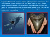 В пределах Марианской впадины найдены зубы акулы-гиганта мегалодона. Эти доисторические чудища весили до 100 тонн, имели длину до 24 м, а ширину пасти – 2 метра. Считалось, что они исчезли с лица Земли еще 2-2,5 млн. лет назад, но 10-сантиметровые зубы из желоба имеют возраст где-то 11-24 тыс. лет! 
