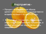 Восприятие -. Процесс формирования образа целостного предмета, непосредственно воздействующего на анализаторы. В отличии от ощущений, отражающих лишь отдельные свойства предметов, в образе восприятия представлен весь предмет.