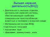 Высшая нервная деятельность(ВНД). Деятельность высших отделов центральной нервной системы, обеспечивающая наиболее совершенное приспособление животных и человека к внешней среде Материальная основа ВНД: +Кора больших полушарий + подкорковые ядра + образования промежуточного мозга