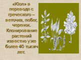 «Klon» в переводе с греческого – веточка, побег, черенок. Клонирование растений известно уже более 40 тысяч лет.
