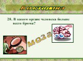 28. В каком органе человека больше всего брома? мозг