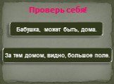 Бабушка, может быть, дома. За тем домом, видно, большое поле. Проверь себя!