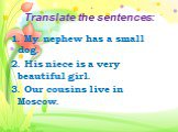 Translate the sentences: 1. My nephew has a small dog. 2. His niece is a very beautiful girl. 3. Our cousins live in Moscow.