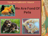 Урок английского языка. We Are Fond Of Pets