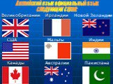 США Великобритании Ирландии Канады Мальты Австралии Новой Зеландии Индии Пакистана. Английский язык официальный язык. следующих стран: