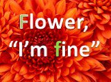 Flower, “I’m fine”