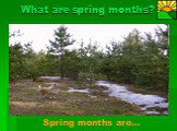 What are spring months? Spring months are…