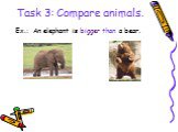 Task 3: Compare animals. Ex.: An elephant is bigger than a bear.
