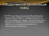Общественная организация INWG. В 1972 году была создана общественная организация INWG — рабочая группа по международным сетям, под руководством Винсента Сёрфа. INWG координировала работу по созданию возможности межсетевого обмена.