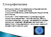 Большую роль в гуморальном специфическом иммунитете играют антитела (иммуноглобулины), возникающие под влияние антигенов. Антиген – это генетически чужеродные для организма вещества – полисахариды, белки, нуклеопротеиды, липиды, на введение которых организм отвечает образованием антител и развитием 