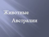 Животные Австралии