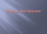 Птицы Австралии