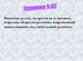 Упражнение №437. Вишенка росла, подрастала и, наконец, выросла; сберегли растение; выращенный школьниками сад; небольшой росточек.