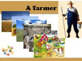 A farmer