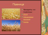 Пшеница. Продукты из пшеницы Мука Макаронные изделия Крупы