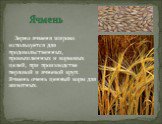 Ячмень. Зерно ячменя широко используется для продовольственных, промышленных и кормовых целей, при производстве перловой и ячневой круп. Ячмень очень ценный корм для животных.