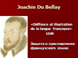 Joachin Du Bellay. «Déffence et illustration de la langue françoyse» 1549 Защита и прославление французского языка