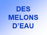 DES MELONS D’EAU