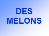 DES MELONS