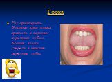 Горка. Рот приоткрыть. Боковые края языка прижать к верхним коренным зубам. Кончик языка упереть в нижние передние зубы.