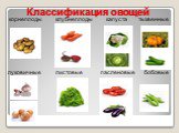 Классификация овощей. корнеплоды клубнеплоды капуста тыквенные. луковичные листовые пасленовые бобовые