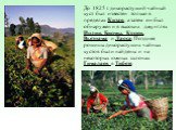 До 1825 г. дикорастущий чайный куст был известен только в пределах Китая, а затем он был обнаружен и в высоких джунглях Индии, Бирмы, Кореи, Вьетнама и Лаоса. Позднее рощицы дикорастущих чайных кустов были найдены и на некоторых южных склонах Гималаев в Тибете.