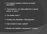 Что нового узнали о волке из моего рассказа? Расскажите, что вам известно о жизни волка в лесу? Где живет волк? Почему его называют бездомным? Чем питается волк зимой? Можно его назвать хищником? Почему?