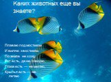 Каких животных еще вы знаете? Плаваю под мостиком  И виляю хвостиком. По земле не хожу, Рот есть, да не говорю, Глаза есть — не мигаю, Крылья есть — не летаю