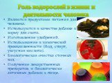  Роль водорослей в жизни и деятельности человека. Являются продуктами питания для человека. Используются в качестве добавки к корму для скота. Изготовление удобрений. Использование в химической промышленности (йод, спирт, уксусная кислота). Биологическая очистка сточных вод. Получение лекарственных 