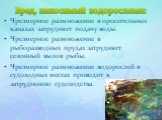 Вред, наносимый водорослями: Чрезмерное размножение в оросительных каналах затрудняет подачу воды. Чрезмерное размножение в рыборазводных прудах затрудняет сезонный вылов рыбы. Чрезмерное размножение водорослей в судоходных местах приводит к затруднению судоходства.