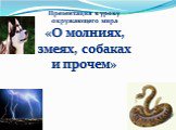 Презентация к уроку окружающего мира «О молниях, змеях, собаках и прочем»