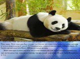 Санцзянский природный зоопарк находится в деревне Лицунь, в пригороде Гуанчжоу. Этот зоопарк был создан на только для туристических, но и для научных и исследовательский целей. В Санцзянском природном зоопарке собрано около 10 тысяч животных (это более 300 различных видов). Этот зоопарк знаменит тем