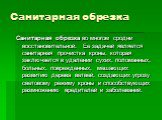 Санитарная обрезка. Санитарная обрезка во многом сродни восстановительной. Ее задачей является санитарная прочистка кроны, которая заключается в удалении сухих, поломанных, больных, поврежденных, мешающих развитию дерева ветвей, создающих угрозу световому режиму кроны и способствующих размножению вр