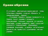 Сроки обрезки. В условиях Центрально-черноземной зоны плодовые деревья следует обрезать в зимне-весенний период .      Основная обрезка дерева проводится в период покоя дерева с момента прекращения сильных морозов до начала вегетации (конец февраля- май), когда нет опасности повреждения обрезанных д