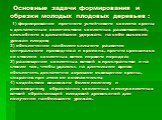 Основные задачи формирования и обрезки молодых плодовых деревьев : Основные задачи формирования и обрезки молодых плодовых деревьев : 1) формирование прочного устойчивого скелета кроны с достаточным количеством скелетных разветвлений, способного в дальнейшем удержать на себе высокие урожаи плодов; 2