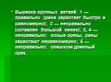 Вырезка крупных ветвей: 1 — правильно (рана зарастает быстро и равномерно); 2 — неправильно (оставлен большой пенек); 3, 4 — неправильно: косые срезы, раны зарастают неравномерно; 5 — неправильно: слишком длинный срез.