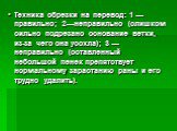 Техника обрезки на перевод: 1 — правильно; 2—неправильно (слишком сильно подрезано основание ветки, из-за чего она усохла); 3 — неправильно (оставленный небольшой пенек препятствует нормальному зарастанию раны и его трудно удалить).