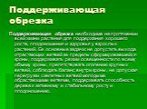 Поддерживающая обрезка. Поддерживающая обрезка необходима на протяжении всей жизни растения для поддержания хорошего роста, плодоношения и здоровья у взрослых растений. Ее основные задачи: не допустить выхода отрастающих ветвей за пределы сформировавшейся кроны, поддерживать режим освещенности по вс