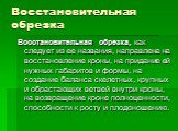 Восстановительная обрезка. Восстановительная обрезка, как следует из ее названия, направлена на восстановление кроны, на придание ей нужных габаритов и формы, на создание баланса скелетных, крупных и обрастающих ветвей внутри кроны, на возвращение кроне полноценности, способности к росту и плодоноше