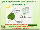 Признак растения: способность к фотосинтезу. Фотосинтез- процесс образования органических веществ из воды и углекислого газа в хлоропластах на свету.