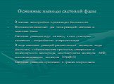 Основные выводы световой фазы. В клетках автотрофов происходит фотосинтез Фотосинтез включает два типа реакций: световая и темновая фазы Световые реакции идут на свету, в них участвуют пигменты – хлорофиллы и каротиноиды В ходе световых реакций расщепляются молекулы воды (фотолиз) с образованием про