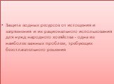 Защита водных ресурсов от истощения и загрязнения и их рационального использования для нужд народного хозяйства - одна из наиболее важных проблем, требующих безотлагательного решения