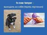 to lose temper -