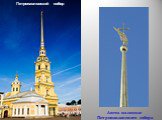 Ангел на шпиле Петропавловского собора. Петропавловский собор